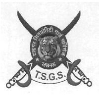 Tiger Security Gaurd services Company Logo
