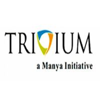 Trivium Education Services Company Logo