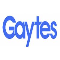 Gaytes Information Pvt ltd Company Logo