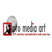 pro media art Company Logo