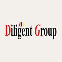 Diligent Consulting Group Company Logo