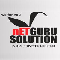 Netgurusolution India