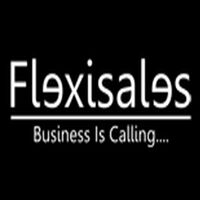 Flexisales Inc. Company Logo