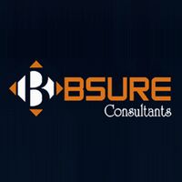 Bsure Consultants Company Logo