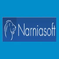 Narniasoft Company Logo