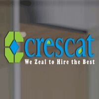 CRESCAT CONSULTANTS Company Logo
