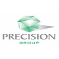 Precision Infomatic Company Logo