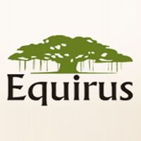 Equirus securities pvt ltd Company Logo