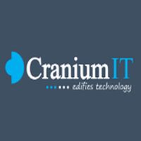 Craniumit Company Logo