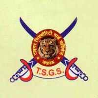 Tiger security guard service Company Logo