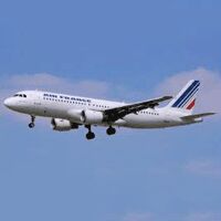 Domestic Airlines Company Logo