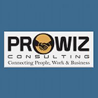 ProwizConsulting Company Logo