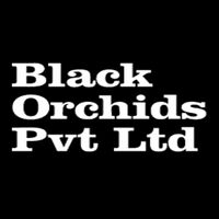 Black orchids Pvt. Ltd logo