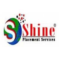 Shine Placement Services Company Logo