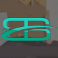 Bigbus consultants logo
