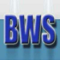 Brainworks Solutions Pvt. Ltd. Company Logo