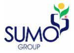 Sumo Technologies Private Limited logo