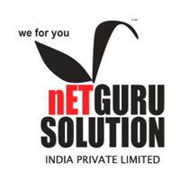 Netguru Solution India Pvt. Ltd. Company Logo