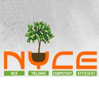 Nyce Securities & Derivatives Ltd logo