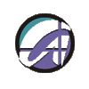 ACE Software Services Company Logo