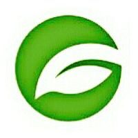 Galaxy Expo Company Company Logo