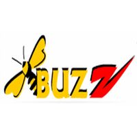 Buzz Corporate Services Pvt Ltd Company Logo