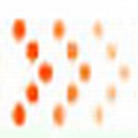 Zansys Technologies Pvt. Ltd. Company Logo