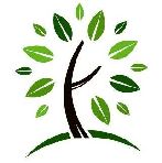 Wingexcel Services Company Logo
