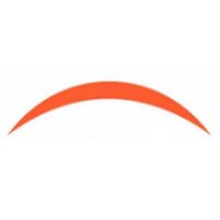NAS SOLUTIONS Company Logo