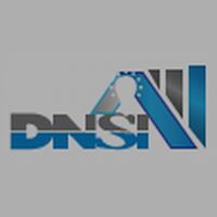 DNS INDIA Company Logo