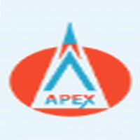 Apex Human Resource Service Pvt Ltd Company Logo