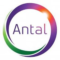 Antal International Network Company Logo