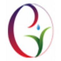 BSRI Solutions Staffing Service Company Logo