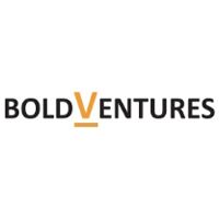 Bold Venture Consultancy LLP logo