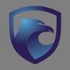 Security Iris Global Immigration Company Logo