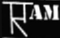 RAM Management Consultancy Company Logo