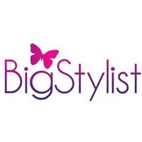 Bigstylist Company Logo