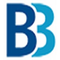 B3 Brain Behind Brand Company Logo