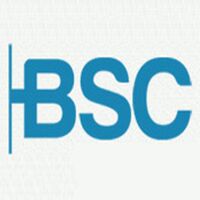 Brainsearch Consulting Pvt Ltd Company Logo