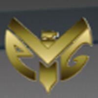 VIPG HR Service Company Logo