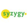 syzygy enterprise solutions Company Logo