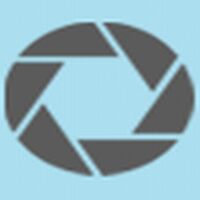 Blue Placement Company Logo