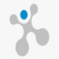 Alp consulting Company Logo