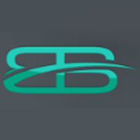 Bigbus Management  Consultants logo