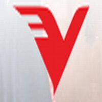 Vision India Services Company Logo