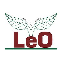 Leo Consultant Company Logo