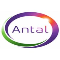 Antal International Company Logo