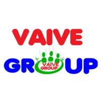 VAIVE GROUP Company Logo