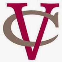 VIAANAY VISA CONSULTANCY Company Logo