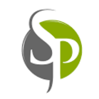 Solution Point Consultancy Company Logo